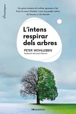 L'INTENS RESPIRAR DELS ARBRES | 9788413562087 | WOHLLEBEN, PETER | Llibres Parcir | Llibreria Parcir | Llibreria online de Manresa | Comprar llibres en català i castellà online