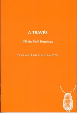 A TRAVÉS | 9788412457599 | COLL DOMINGO, GLÒRIA | Llibres Parcir | Llibreria Parcir | Llibreria online de Manresa | Comprar llibres en català i castellà online