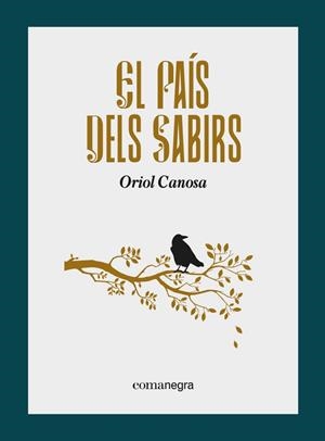 EL PAÍS DELS SABIRS | 9788418857799 | CANOSA, ORIOL | Llibres Parcir | Llibreria Parcir | Llibreria online de Manresa | Comprar llibres en català i castellà online