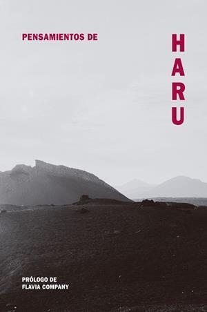 PENSAMIENTOS DE HARU | 9788418223495 | COMPANY, FLAVIA | Llibres Parcir | Llibreria Parcir | Llibreria online de Manresa | Comprar llibres en català i castellà online
