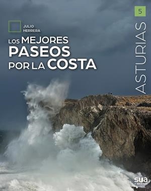 LOS MEJORES PASEOS POR LA COSTA | 9788482168067 | HERRERA MENENDEZ, JULIO | Llibres Parcir | Llibreria Parcir | Llibreria online de Manresa | Comprar llibres en català i castellà online