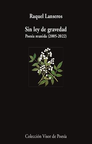 SIN LEY DE GRAVEDAD | 9788498954654 | LANSEROS, RAQUEL | Llibres Parcir | Librería Parcir | Librería online de Manresa | Comprar libros en catalán y castellano online