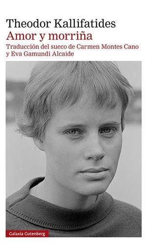 AMOR Y MORRIÑA | 9788419075536 | KALLIFATIDES, THEODOR | Llibres Parcir | Librería Parcir | Librería online de Manresa | Comprar libros en catalán y castellano online