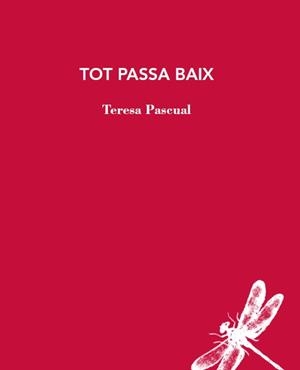 TOT PASSA BAIX | 9788412577426 | PASCUAL, TERESA | Llibres Parcir | Llibreria Parcir | Llibreria online de Manresa | Comprar llibres en català i castellà online