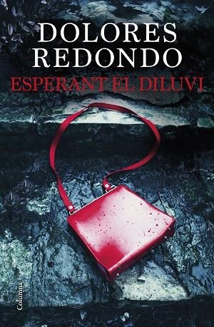 ESPERANT EL DILUVI | 9788466429849 | REDONDO MEIRA, DOLORES | Llibres Parcir | Llibreria Parcir | Llibreria online de Manresa | Comprar llibres en català i castellà online