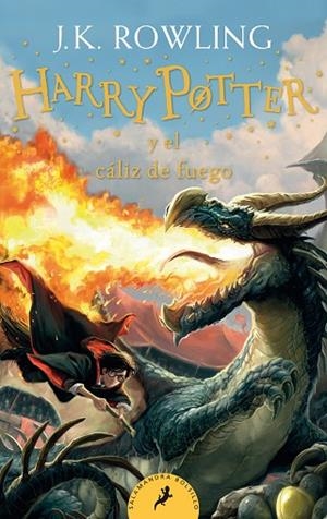 HARRY POTTER Y EL CÁLIZ DE FUEGO (HARRY POTTER 4) | 9788418173110 | ROWLING, J.K. | Llibres Parcir | Llibreria Parcir | Llibreria online de Manresa | Comprar llibres en català i castellà online