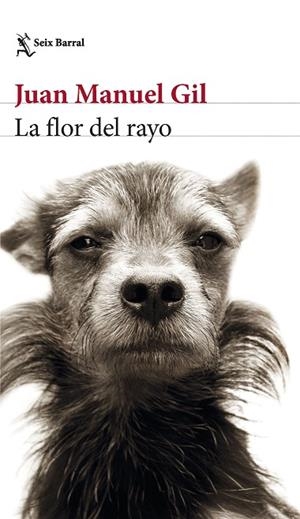 LA FLOR DEL RAYO | 9788432241574 | GIL, JUAN MANUEL | Llibres Parcir | Librería Parcir | Librería online de Manresa | Comprar libros en catalán y castellano online