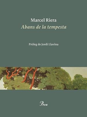 ABANS DE LA TEMPESTA | 9788475889900 | RIERA BOU, MARCEL | Llibres Parcir | Llibreria Parcir | Llibreria online de Manresa | Comprar llibres en català i castellà online