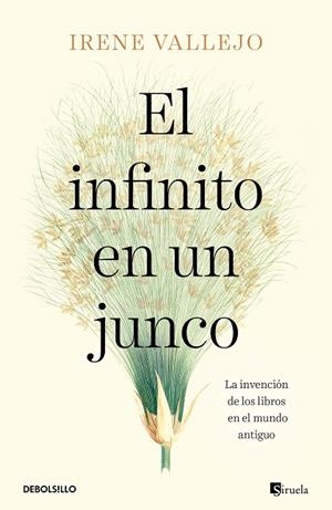 EL INFINITO EN UN JUNCO | 9788466358293 | VALLEJO, IRENE | Llibres Parcir | Llibreria Parcir | Llibreria online de Manresa | Comprar llibres en català i castellà online