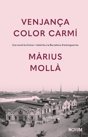 VENJANÇA COLOR CARMÍ | 9788419311771 | MOLLÀ, MÀRIUS | Llibres Parcir | Librería Parcir | Librería online de Manresa | Comprar libros en catalán y castellano online