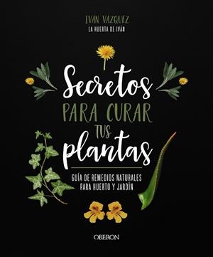 SECRETOS PARA CURAR TUS PLANTAS | 9788441547162 | VÁZQUEZ MUÑOZ, IVÁN | Llibres Parcir | Librería Parcir | Librería online de Manresa | Comprar libros en catalán y castellano online