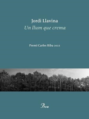 UN LLUM QUE CREMA | 9788475889979 | LLAVINA, JORDI | Llibres Parcir | Llibreria Parcir | Llibreria online de Manresa | Comprar llibres en català i castellà online