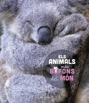 ELS ANIMALS MÉS BUFONS DEL MÓN | 9788419436184 | LEDU, STÉPHANIE | Llibres Parcir | Librería Parcir | Librería online de Manresa | Comprar libros en catalán y castellano online