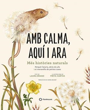 AMB CALMA, AQUÍ I ARA | 9788419401120 | BRAND, LAURA | Llibres Parcir | Librería Parcir | Librería online de Manresa | Comprar libros en catalán y castellano online