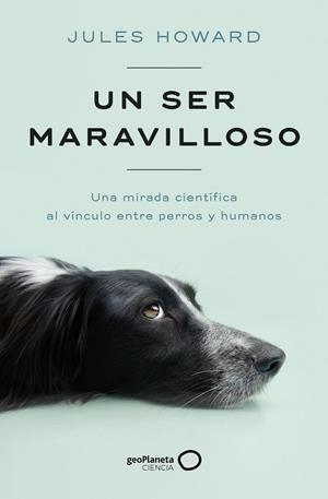 UN SER MARAVILLOSO | 9788408269328 | HOWARD, JULES | Llibres Parcir | Llibreria Parcir | Llibreria online de Manresa | Comprar llibres en català i castellà online