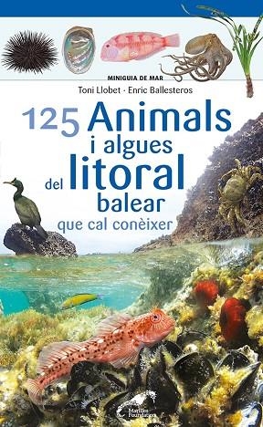 125 ANIMALS I ALGUES DEL LITORAL BALEAR QUE CAL CONÈIXER | 9788413562704 | BALLESTEROS SAGARRA, ENRIC | Llibres Parcir | Llibreria Parcir | Llibreria online de Manresa | Comprar llibres en català i castellà online