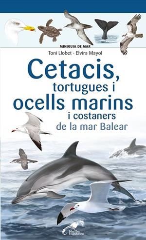 CETACIS, TORTUGUES I OCELLS MARINS I COSTANERS DE LA MAR BALEAR | 9788413562735 | MAYOL, ELVIRA | Llibres Parcir | Llibreria Parcir | Llibreria online de Manresa | Comprar llibres en català i castellà online