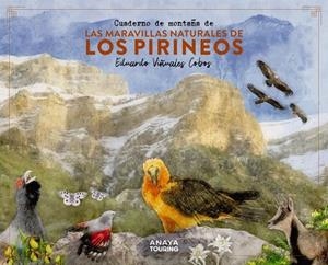CUADERNO DE MONTAÑA DE LAS MARAVILLAS NATURALES DE LOS PIRINEOS | 9788491586036 | VIÑUALES COBOS, EDUARDO | Llibres Parcir | Llibreria Parcir | Llibreria online de Manresa | Comprar llibres en català i castellà online