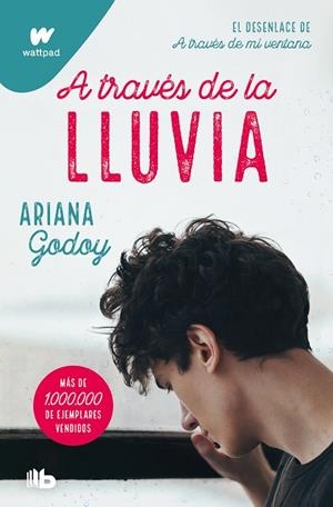 A TRAVÉS DE LA LLUVIA (EDICIÓN REVISADA POR LA AUTORA) (TRILOGÍA HERMANOS HIDALG | 9788413147994 | GODOY, ARIANA | Llibres Parcir | Llibreria Parcir | Llibreria online de Manresa | Comprar llibres en català i castellà online
