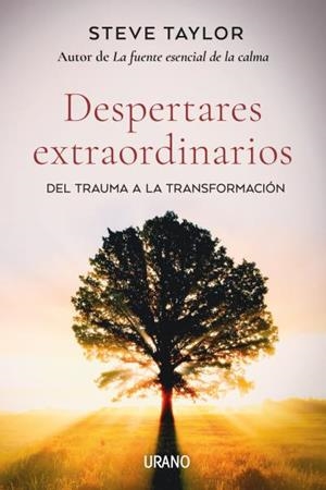 DESPERTARES EXTRAORDINARIOS | 9788418714061 | TAYLOR, STEVE | Llibres Parcir | Llibreria Parcir | Llibreria online de Manresa | Comprar llibres en català i castellà online