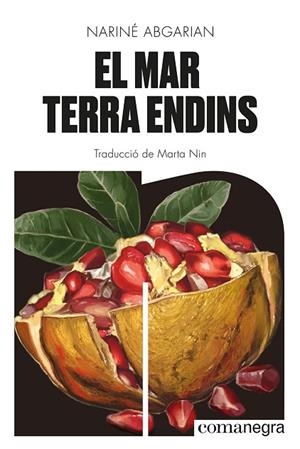 EL MAR TERRA ENDINS | 9788419590343 | ABGARIAN, NARINÉ | Llibres Parcir | Llibreria Parcir | Llibreria online de Manresa | Comprar llibres en català i castellà online
