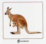 ANIMALES SALVAJES Y SUS CRIAS | 9788412683639 | NOWORDBOOKS | Llibres Parcir | Librería Parcir | Librería online de Manresa | Comprar libros en catalán y castellano online