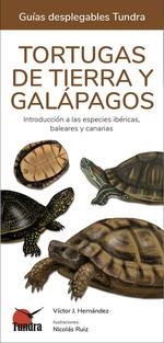 TORTUGAS DE TIERRA Y GALAPAGOS - GUIAS DESPLEGABLES TUNDRA | 9788416702930 | HERNANDEZ, VICTOR J. | Llibres Parcir | Llibreria Parcir | Llibreria online de Manresa | Comprar llibres en català i castellà online