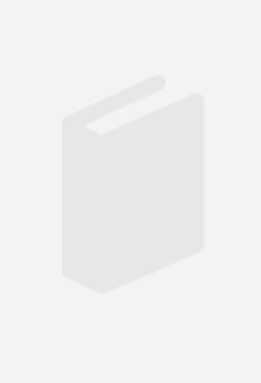 SISTEMAS DE BIG DATA | 9788419857187 | VICTOR MANUEL LÓPEZ FANDIÑO | Llibres Parcir | Llibreria Parcir | Llibreria online de Manresa | Comprar llibres en català i castellà online