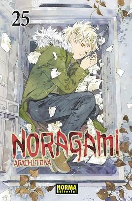 NORAGAMI 25 | 9788467962116 | ADACHITOKA | Llibres Parcir | Llibreria Parcir | Llibreria online de Manresa | Comprar llibres en català i castellà online