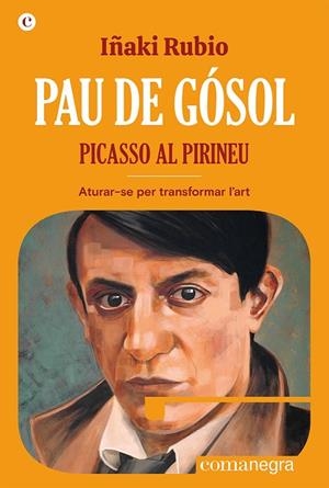 PAU DE GÓSOL. PICASSO AL PIRINEU | 9788419590404 | RUBIO, IÑAKI | Llibres Parcir | Librería Parcir | Librería online de Manresa | Comprar libros en catalán y castellano online