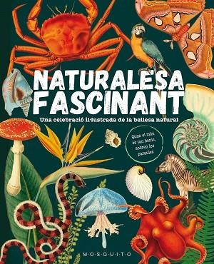 NATURALESA FASCINANT | 9788419095596 | MOSQUITO BOOKS | Llibres Parcir | Librería Parcir | Librería online de Manresa | Comprar libros en catalán y castellano online