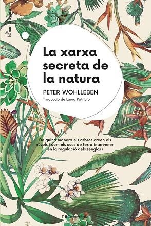LA XARXA SECRETA DE LA NATURA | 9788413562872 | WOHLLEBEN, PETER | Llibres Parcir | Llibreria Parcir | Llibreria online de Manresa | Comprar llibres en català i castellà online