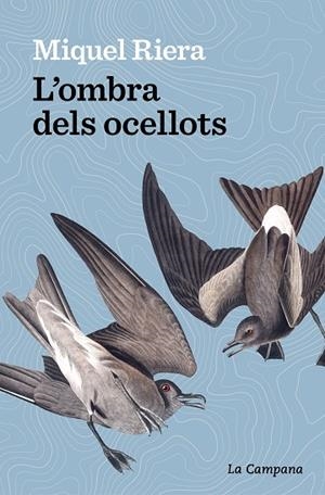 L’OMBRA DELS OCELLOTS | 9788419245175 | RIERA, MIQUEL | Llibres Parcir | Llibreria Parcir | Llibreria online de Manresa | Comprar llibres en català i castellà online
