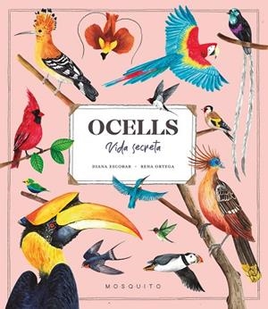 OCELLS. VIDA SECRETA | 9788419095534 | ESTEBAN, DIANA | Llibres Parcir | Llibreria Parcir | Llibreria online de Manresa | Comprar llibres en català i castellà online
