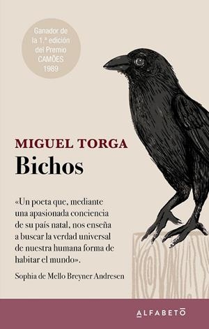 BICHOS | 9788417951467 | TORGA, MIGUEL | Llibres Parcir | Llibreria Parcir | Llibreria online de Manresa | Comprar llibres en català i castellà online