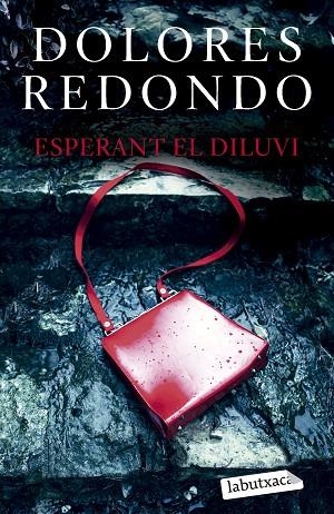 ESPERANT EL DILUVI | 9788419107961 | REDONDO, DOLORES | Llibres Parcir | Llibreria Parcir | Llibreria online de Manresa | Comprar llibres en català i castellà online