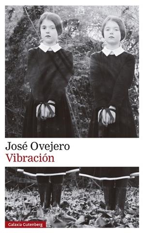VIBRACIÓN | 9788419738615 | OVEJERO, JOSÉ | Llibres Parcir | Llibreria Parcir | Llibreria online de Manresa | Comprar llibres en català i castellà online