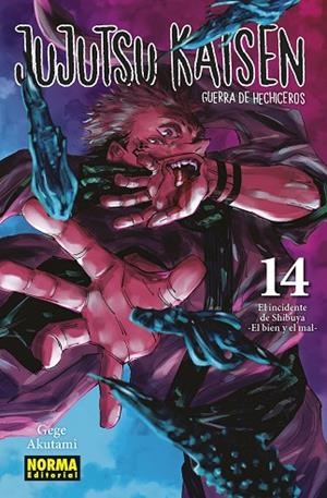 JUJUTSU KAISEN 14 (NUEVO PVP) | 9788467966909 | AKUTAMI, GEGE | Llibres Parcir | Librería Parcir | Librería online de Manresa | Comprar libros en catalán y castellano online