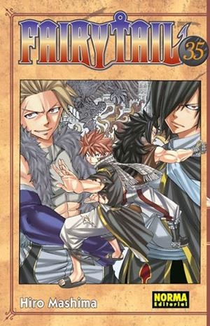 FAIRY TAIL 35 | 9788467914450 | MASHIMA, HIRO | Llibres Parcir | Librería Parcir | Librería online de Manresa | Comprar libros en catalán y castellano online