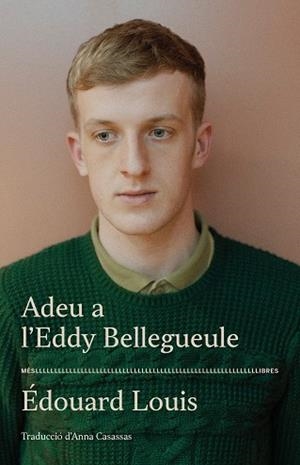 ADEU A L'EDDY BELLEGUEULE | 9788417353544 | ÉDOUARD LOUIS | Llibres Parcir | Llibreria Parcir | Llibreria online de Manresa | Comprar llibres en català i castellà online