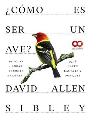 ¿CÓMO ES SER UN AVE? DE VOLAR A ANIDAR, DE COMER A CANTAR... ¿QUÉ HACEN LAS AVES | 9788441549050 | ALLEN SIBLEY, DAVID | Llibres Parcir | Librería Parcir | Librería online de Manresa | Comprar libros en catalán y castellano online