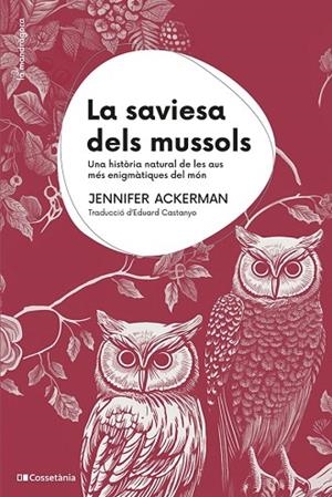 LA SAVIESA DELS MUSSOLS | 9788413563558 | ACKERMAN, JENNIFER | Llibres Parcir | Llibreria Parcir | Llibreria online de Manresa | Comprar llibres en català i castellà online