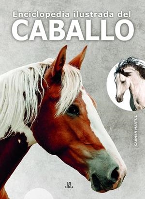 ENCICLOPEDIA ILUSTRADA DEL CABALLO | 9788466242462 | MARTUL HERNÁNDEZ, CARMEN | Llibres Parcir | Librería Parcir | Librería online de Manresa | Comprar libros en catalán y castellano online