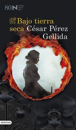 ASTILLAS EN LA PIEL | 9788466360166 | PÉREZ GELLIDA, CÉSAR | Llibres Parcir | Librería Parcir | Librería online de Manresa | Comprar libros en catalán y castellano online