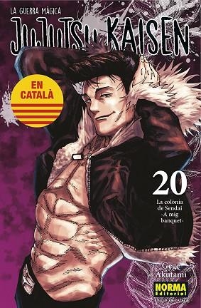 JUJUTSU KAISEN 20 CATALA | 9788467969924 | AKUTAMI, GEGE | Llibres Parcir | Librería Parcir | Librería online de Manresa | Comprar libros en catalán y castellano online