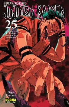 JUJUTSU KAISEN 25 | 9788467971743 | AKUTAMI, GEGE | Llibres Parcir | Librería Parcir | Librería online de Manresa | Comprar libros en catalán y castellano online