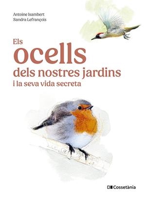 ELS OCELLS DELS NOSTRES JARDINS I LA SEVA VIDA SECRETA | 9788413563626 | ISAMBERT, ANTOINE | Llibres Parcir | Llibreria Parcir | Llibreria online de Manresa | Comprar llibres en català i castellà online