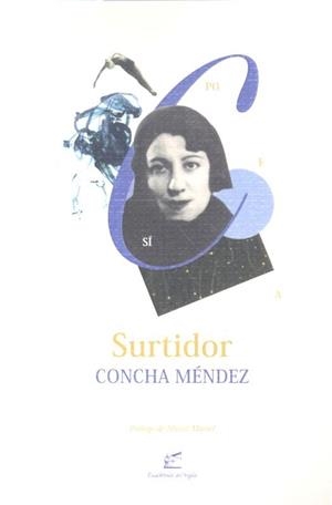 SURTIDOR | 9788495430786 | MÉNDEZ CUESTA, CONCHA | Llibres Parcir | Llibreria Parcir | Llibreria online de Manresa | Comprar llibres en català i castellà online