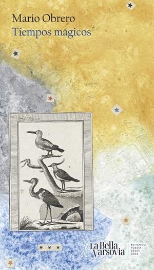 TIEMPOS MÁGICOS | 9788433922946 | OBRERO, MARIO | Llibres Parcir | Llibreria Parcir | Llibreria online de Manresa | Comprar llibres en català i castellà online
