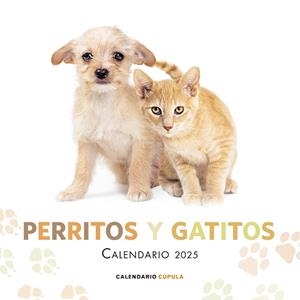 CALENDARIO PERRITOS Y GATITOS 2025 | 9788448041632 | AA. VV. | Llibres Parcir | Librería Parcir | Librería online de Manresa | Comprar libros en catalán y castellano online